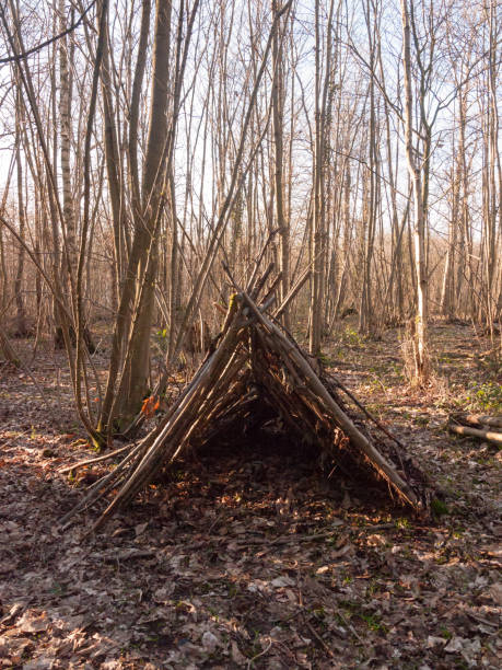 istock tree branches made into tent in middle of woodland uk 940108068