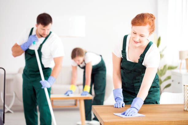 istock Man and women cleaning house 940108652