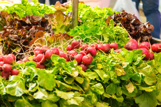 istock Red radishes in the market 940108840