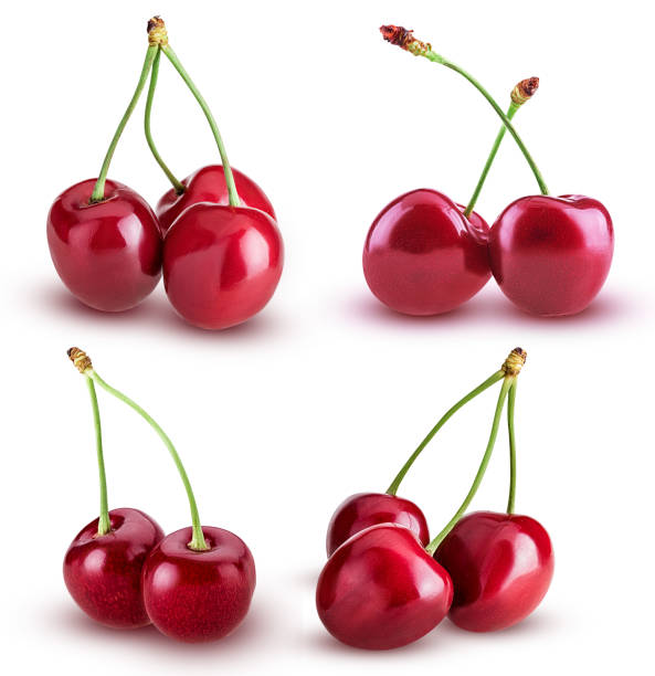 istock Set sweet cherry berry. Two and three on a branch with springs 940118270
