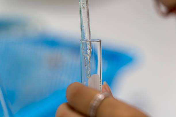 istock Biodiesel production is the process of producing the biofuel, biodiesel, in laboratory. 940124062