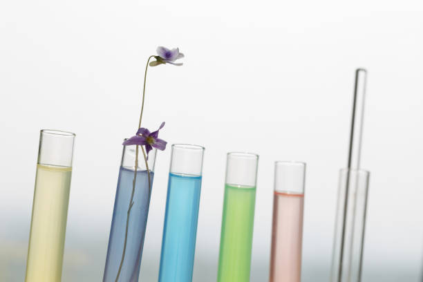 eksperyment biochemiczny - test tube glass reagent red zdjęcia i obrazy z banku zdjęć