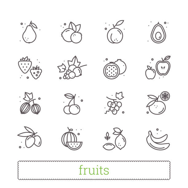 фрукты и ягоды тонкой линии векторные значки. - raspberry gooseberry strawberry cherry stock illustrations