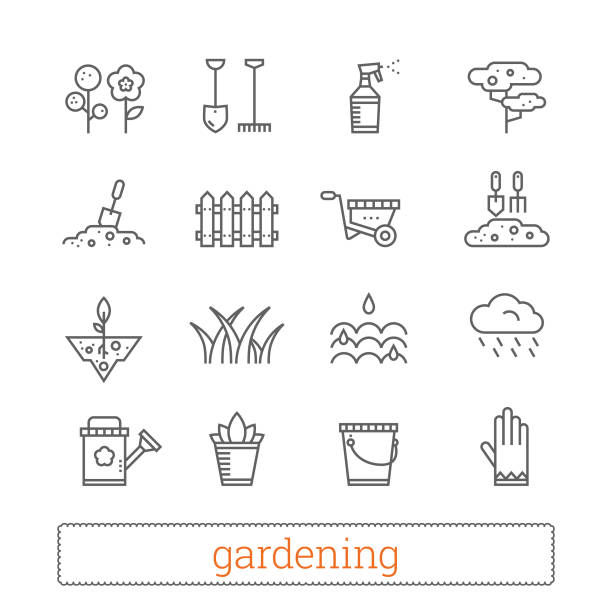 Gardening thin line icons. Vector set of plant growing, horticulture signs. Gardening thin line icons. Vector set of plant growing and horticulture signs. Modern linear design elements for web interface and mobile services. Isolated on white background. watering pail stock illustrations