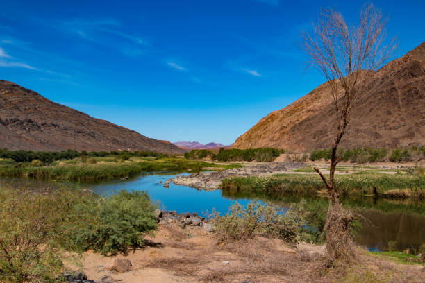 istock Beautiful landscape and scenery in Namibia 940129064