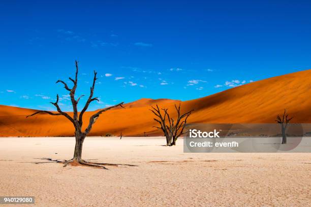 Deadvlei In Sossusvlei Namibia Stock Photo - Download Image Now - Namibia, Dead Vlei, Sossusvlei