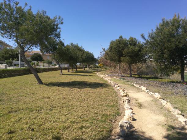 Dirt path in a residential park.