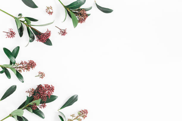 istock Tropical flowers leaves on white background. Flat lay, top view 940134812