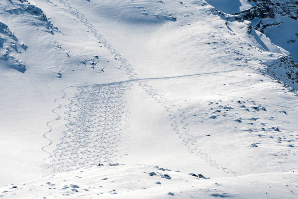 istock backcountry skiing trails snow detail 940135012