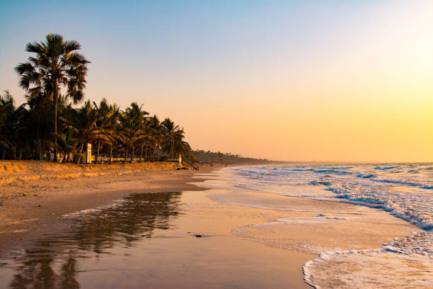 Beautiful beach in Serrekunda, Gambia Serekunda is a sprawling urban area in the Gambia, a small West African country bordered by Senegal. west africa coast photos stock pictures, royalty-free photos & images