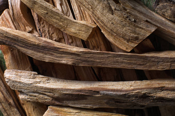 palo santo wood closeup stock photo