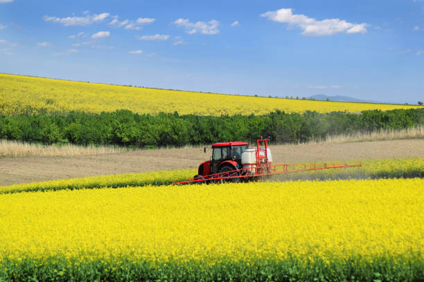 un trattore spruzza i terreni agricoli di colza in primavera - spraying agriculture farm herbicide foto e immagini stock