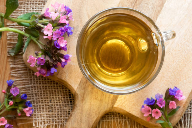 istock A cup of lungwort (pulmonaria) tea with fresh lungwort flowers 940182030