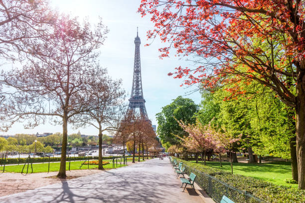 istock Eiffel Tower in Paris, France 940185374