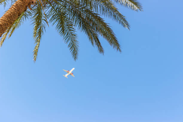 istock A commercial jet taking off over a palm tree, vacation time copy space 940185446