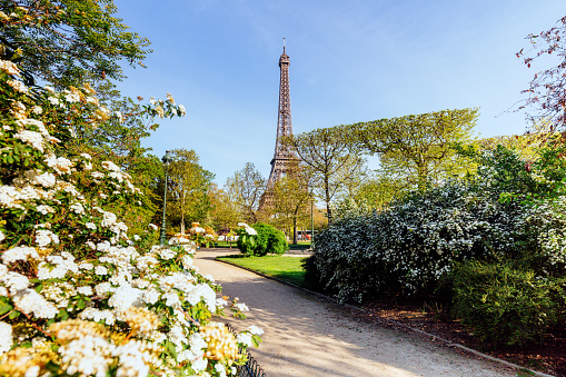 Eiffel Tower in Spring\nParis, France