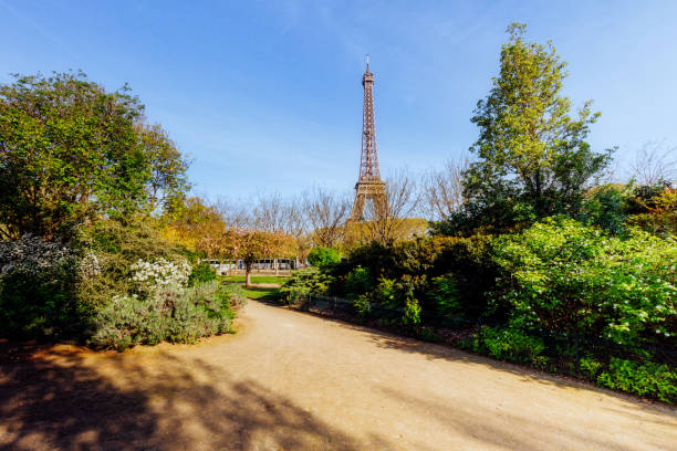 istock Eiffel Tower in Paris, France 940185730