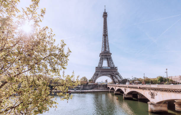 istock Eiffel Tower in Paris, France 940185738