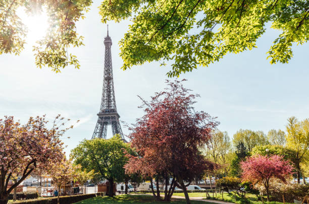 istock Eiffel Tower in Paris, France 940185844