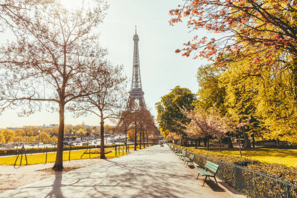 istock Eiffel Tower in Paris, France 940185986