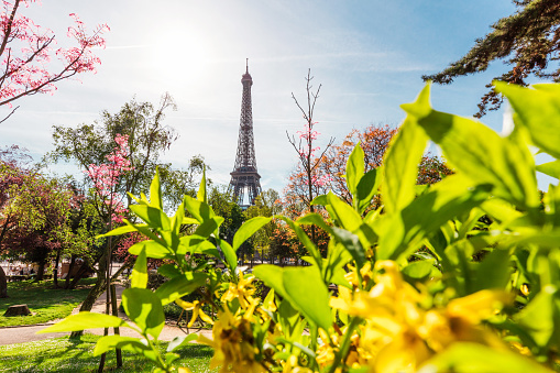 Eiffel tower in spring, Paris, France