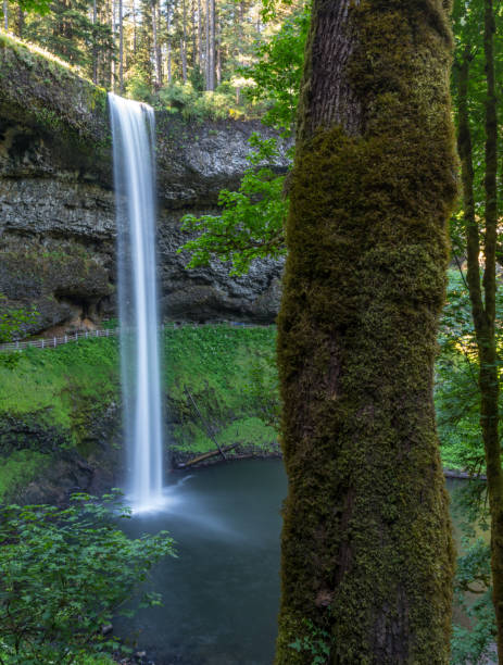 istock South Falls of Silver Creek 940197556