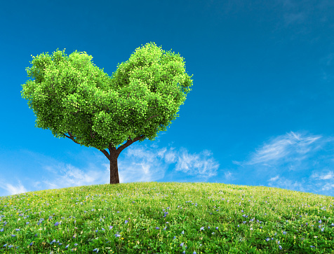 Green spring landscape with tree in heart shape