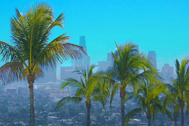 LA Skyline Palm Trees