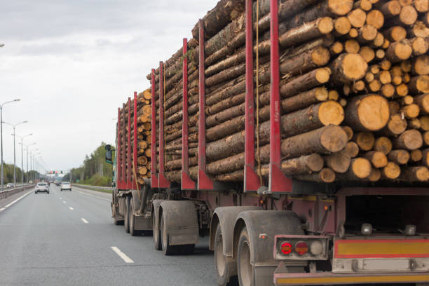 istock Timber Lumber Truck Delivery 940213392