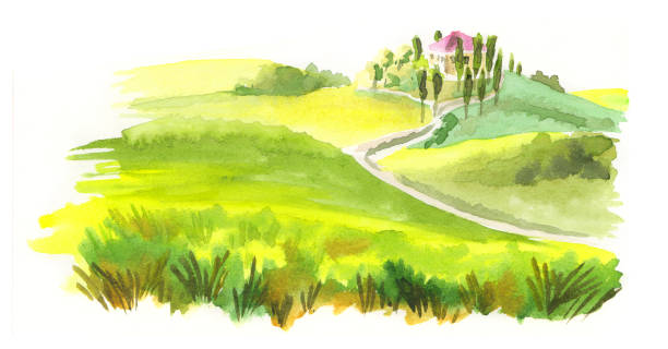 ilustrações, clipart, desenhos animados e ícones de paisagem italiana. ilustra�ção de aquarela - olive green illustration and painting backgrounds watercolor painting