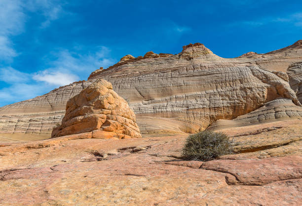 istock Landscape of The wave, Arizona 940214714