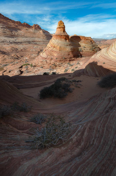 paesaggio dell'onda, arizona - cresta dellonda foto e immagini stock