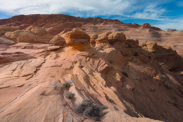 paesaggio dell'onda, arizona - cresta dellonda foto e immagini stock