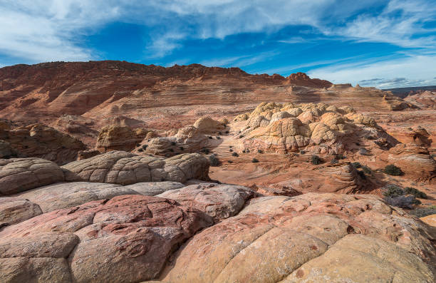 paesaggio dell'onda, arizona - cresta dellonda foto e immagini stock