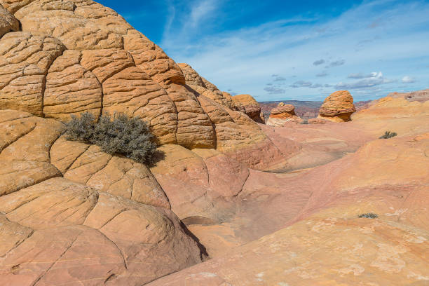 paesaggio dell'onda, arizona - cresta dellonda foto e immagini stock