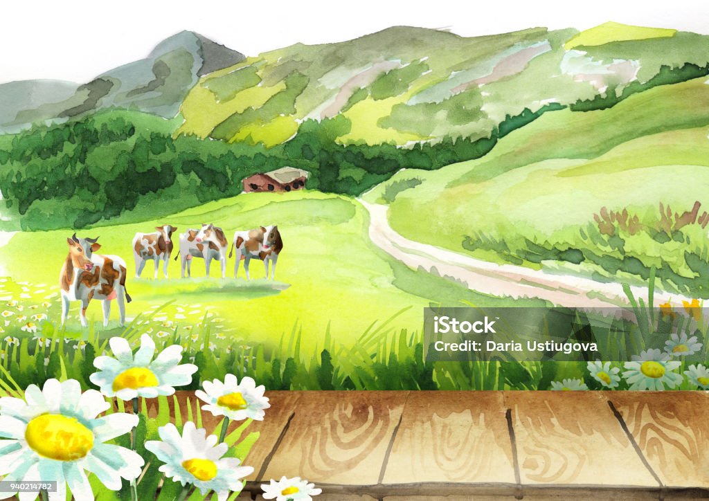 Cows in a meadow and a board Watercolor Painting stock illustration