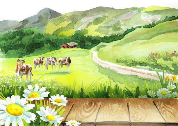 Cows in a meadow and a board Cows in a meadow and a board table moutain stock illustrations