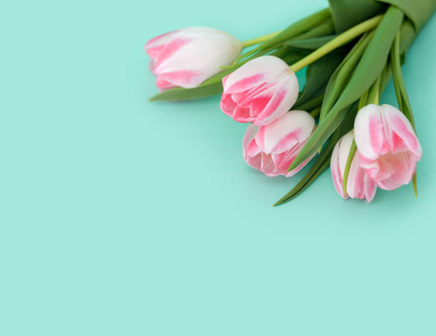 istock Bouquet of pink tulips on blue background 940218136
