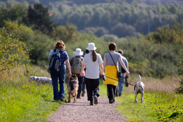 Brisk walk in the country  peak district national park stock pictures, royalty-free photos & images