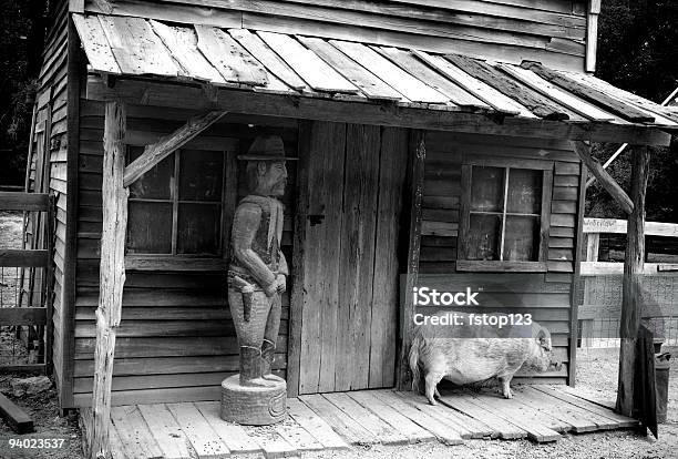 Javali - Fotografias de stock e mais imagens de Barraca - Barraca, Cena Rural, Abandonado