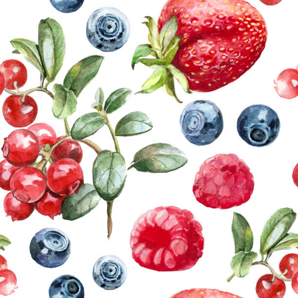 ilustrações de stock, clip art, desenhos animados e ícones de watercolor pattern forest berries - raspberry fruit pattern berry fruit