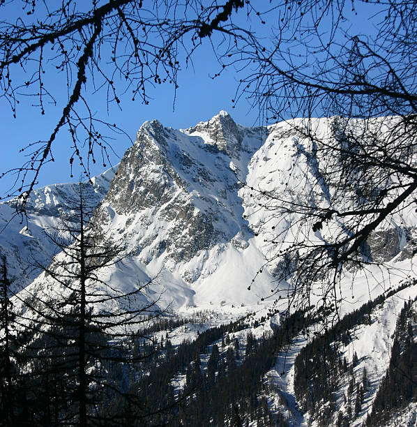 Montanhas acima Vallorcine, Chamonix - foto de acervo