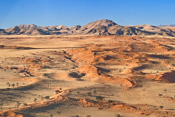 가로 at tsondab-밸리 (namibia - petrified sand dune 뉴스 사진 이미지