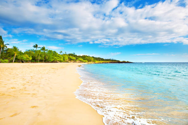 Hulopoe Beach of Lanai Island in Hawaii The Hulopoe Beach, a scenic legendary site on the island of Lanai in Hawaii. bay of water stock pictures, royalty-free photos & images