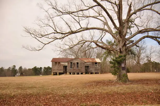 a spooky old house in the middle of nowhere