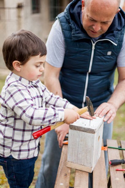 istock Father and son building birdhouse outdoor 940254546