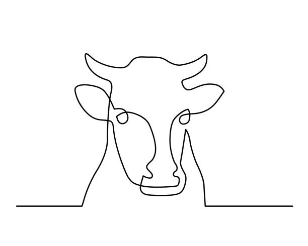 line10 Continuous line drawing of cow head. Vector illustration beef illustrations stock illustrations