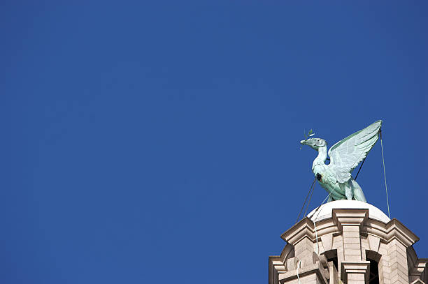 istock Top of the Royal Liver Building 94025851