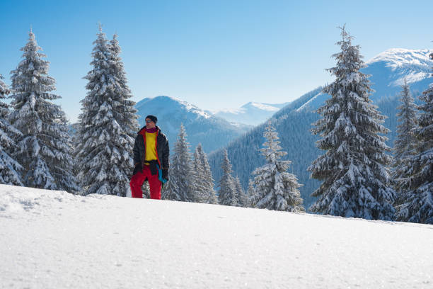 istock Dreaming adventurer is standing in the winter mountains 940260020