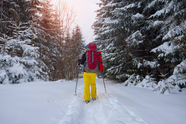 istock Adventurer woman with backpack is walking in snowshoes 940260042
